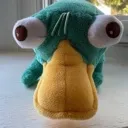 perry_the_stupidpus
