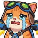 Cryingcat