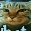 ogue Discord sticker - Nova Luna (新月)