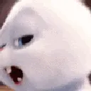 Itisstillchasingthewhiterabbit