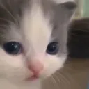 Eh