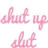 ae_shut_up_slut