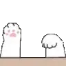 ae_cat_paws