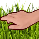 touchgrass