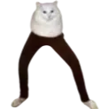 krlbafsn_cat krlbafsn_cat