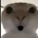 elle_ooooo