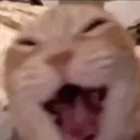 i_laugh