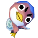 TwirpStare