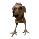 kyle2 kyle2