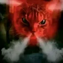 angrycat