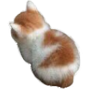 8_cat_sit Discord Emoji | Rᴇʙɪʀᴛʜ Dᴇʟɪᴄᴀᴄɪᴇꜱ | Explore New World