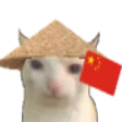 ChinaCat ChinaCat