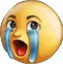 WHAT custom emote from The Larpdex