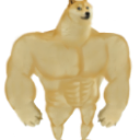 :StrongDoge: