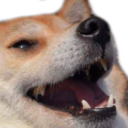 :DogeKek: