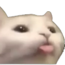 catblep Discord sticker - ⊱༒✩🕸 AXP™ 🕸✧༒⊰ ✗ Dating ~ Chill ~ Hangout ~ Nitro ~ Fun