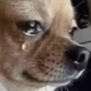 Chorddomujhe Discord Emoji | ⊱༒✩🕸 AXP™ 🕸✧༒⊰ ✗ Dating ~ Chill ~ Hangout ~ Nitro ~ Fun