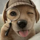 dogdetective dogdetective