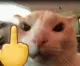 GatoMFinger