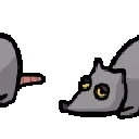 NTC_rats