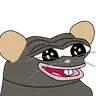rat17