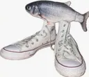 fishshoes