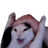 WAHOO