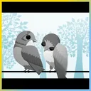 Lovebirds