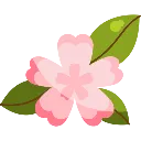 BlossomCherry