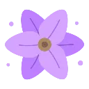 BlossomWisteria