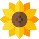 BlossomSunflower
