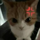 Angrierpussy
