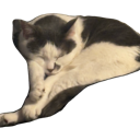CatCait Discord emoji
