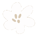 Four small white flowers with tan centers arranged in a horizontal line.