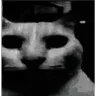 Uncannycat Uncannycat