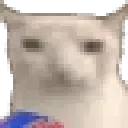 cat_eating