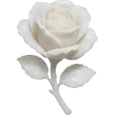 whiterose