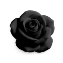 blackrose