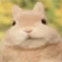 FUCKYOU