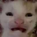 emoji_8 Discord sticker from بنقوس