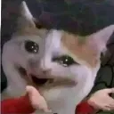 what6 what6