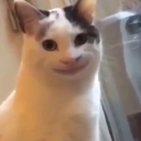 arab26 Discord sticker from Vortex community