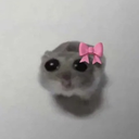 1226672293514706954 Discord sticker - Vortex community