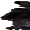 LONG1