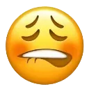 emoji_121