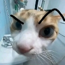 emoji_13 custom emote | 𝕿𝕳𝕰 𝕾𝕬𝕹𝕮𝕿𝖀𝕬𝕽𝖄