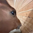 emoji_17 Discord sticker from 𝕿𝕳𝕰 𝕾𝕬𝕹𝕮𝕿𝖀𝕬𝕽𝖄