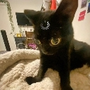 emoji_36 Discord sticker from 𝕿𝕳𝕰 𝕾𝕬𝕹𝕮𝕿𝖀𝕬𝕽𝖄