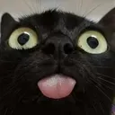 voidblep