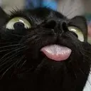 voidblep2